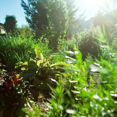 Otel Mariasteinerhof 4*