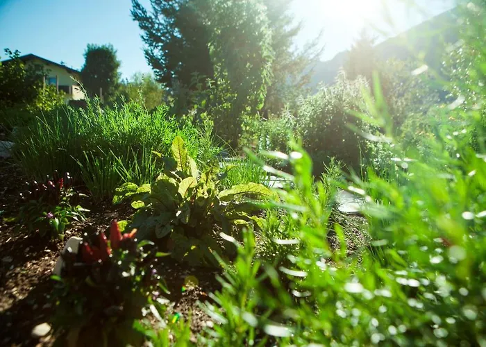 ホテル & Mariasteinerhof 4*